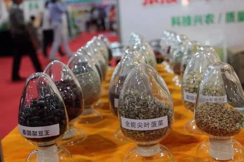 带你看看张交会上的绿色有机农产品 一 50000现金红包雨 6点继续嗨抢