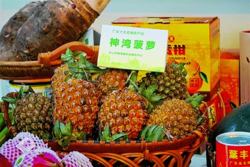 中山篇